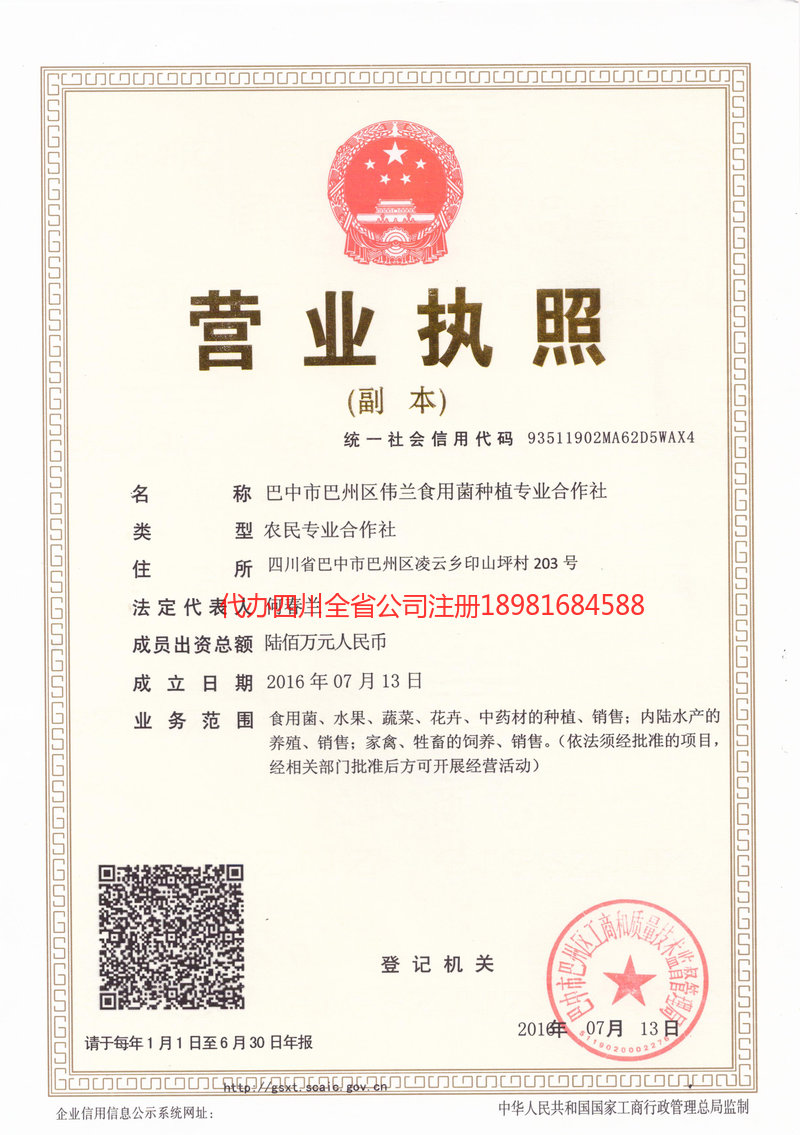 五指山五指山伟兰食用菌种植专业合作社